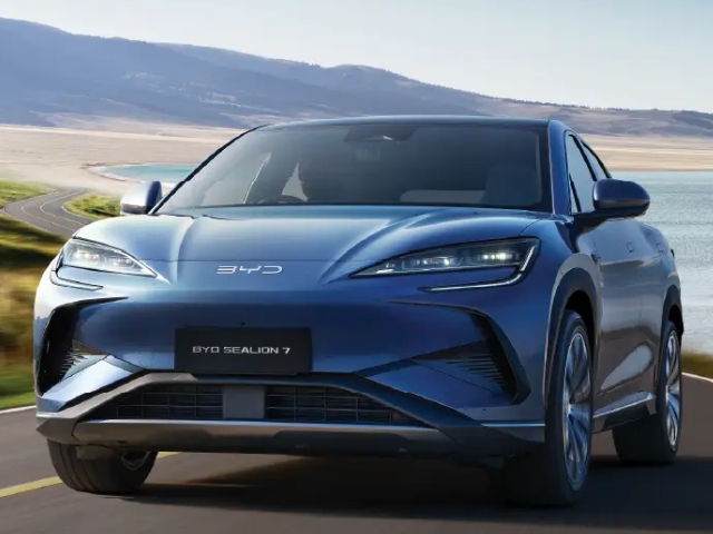 assets/img/BYD black  01.png